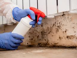 Durand, IL Mold Removal Company